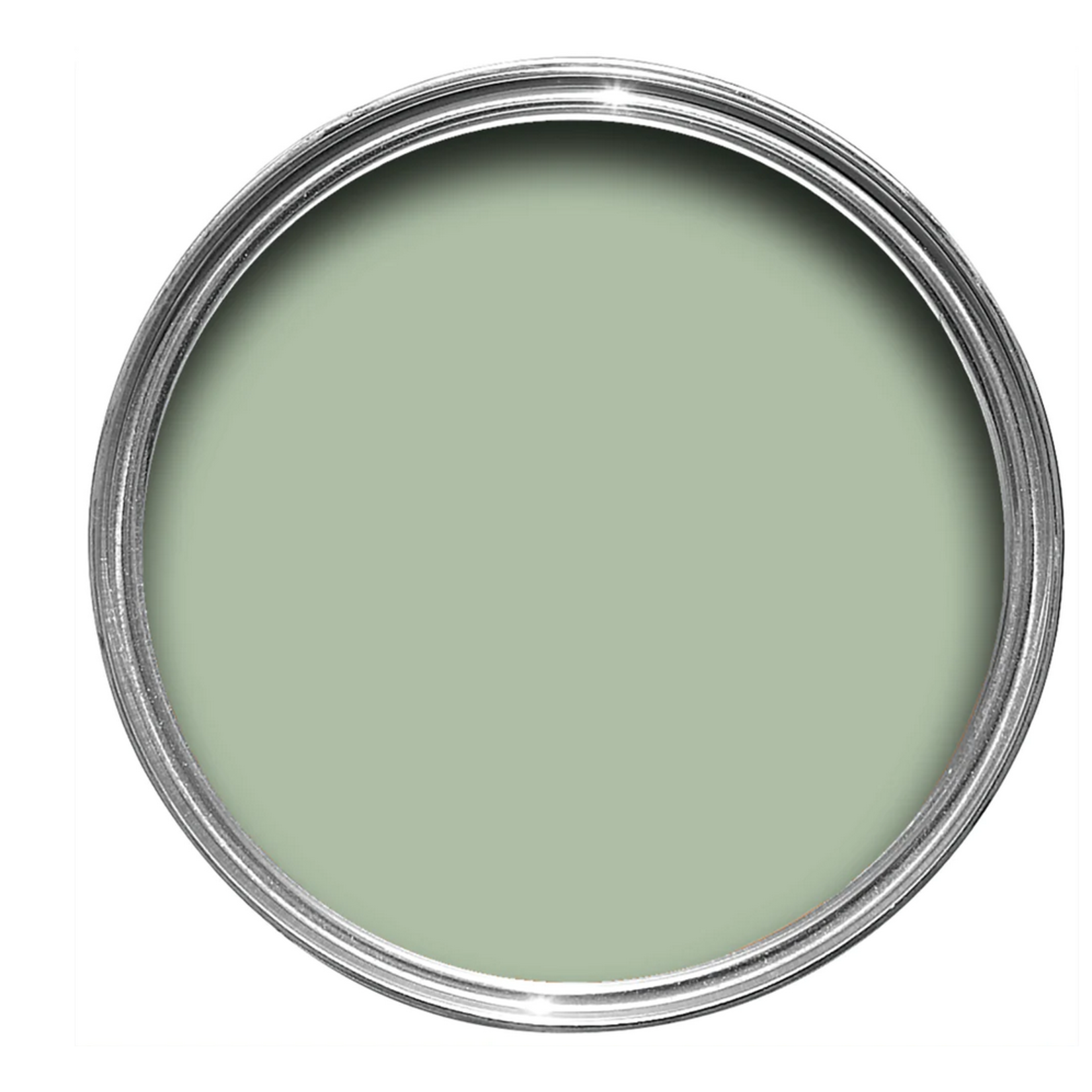 Farrow and Ball 750ml Dead Flat Whirlybird No 309