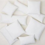 St. Geneve 20 x 26 Feather Pillow Form