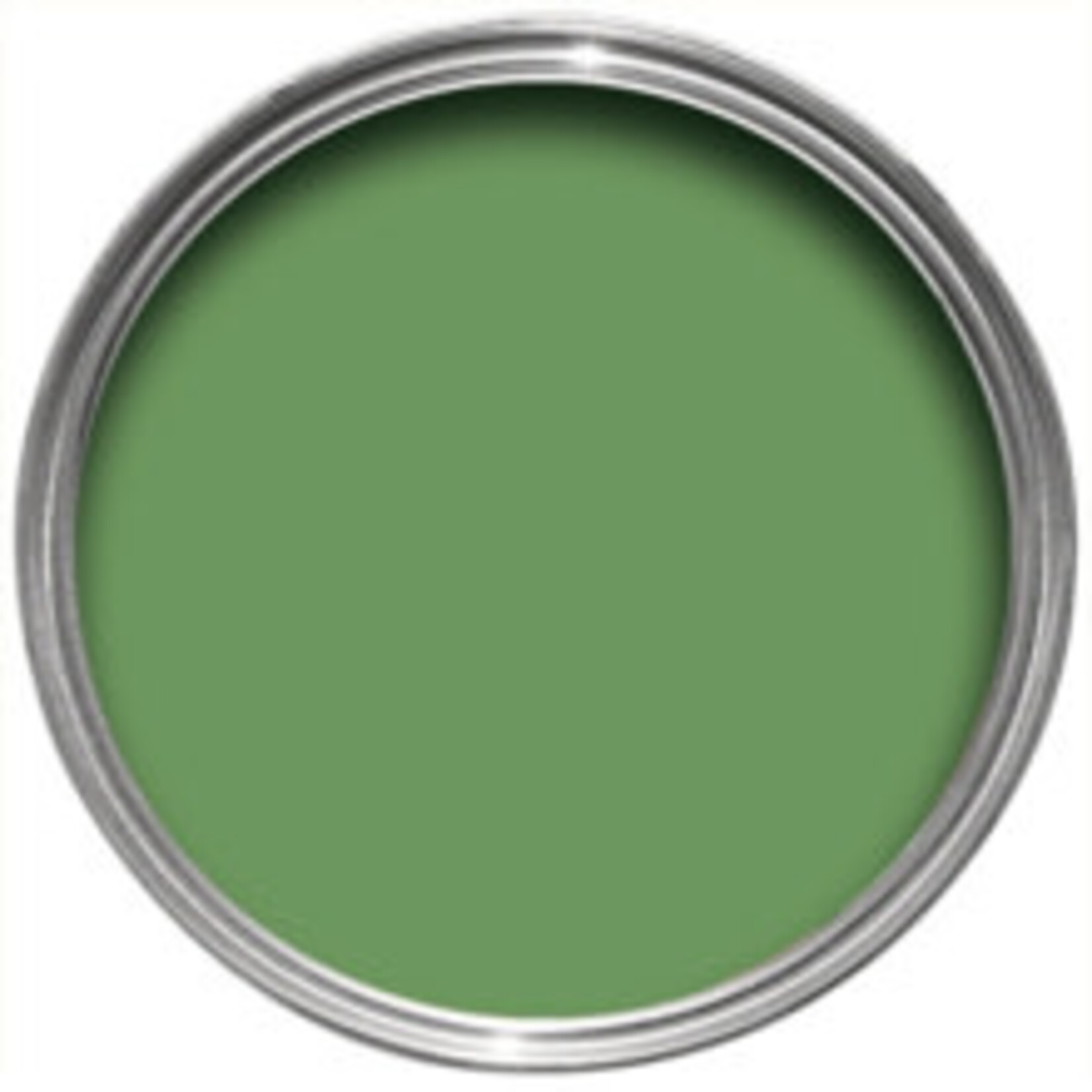 Farrow and Ball US Gallon Modern Eggshell Raw Tomatillo No.CB6