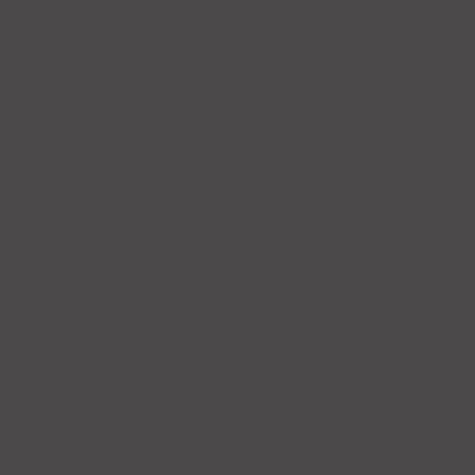 Farrow and Ball Farrow & Ball Paint Swatch CJR Liquorice CB10