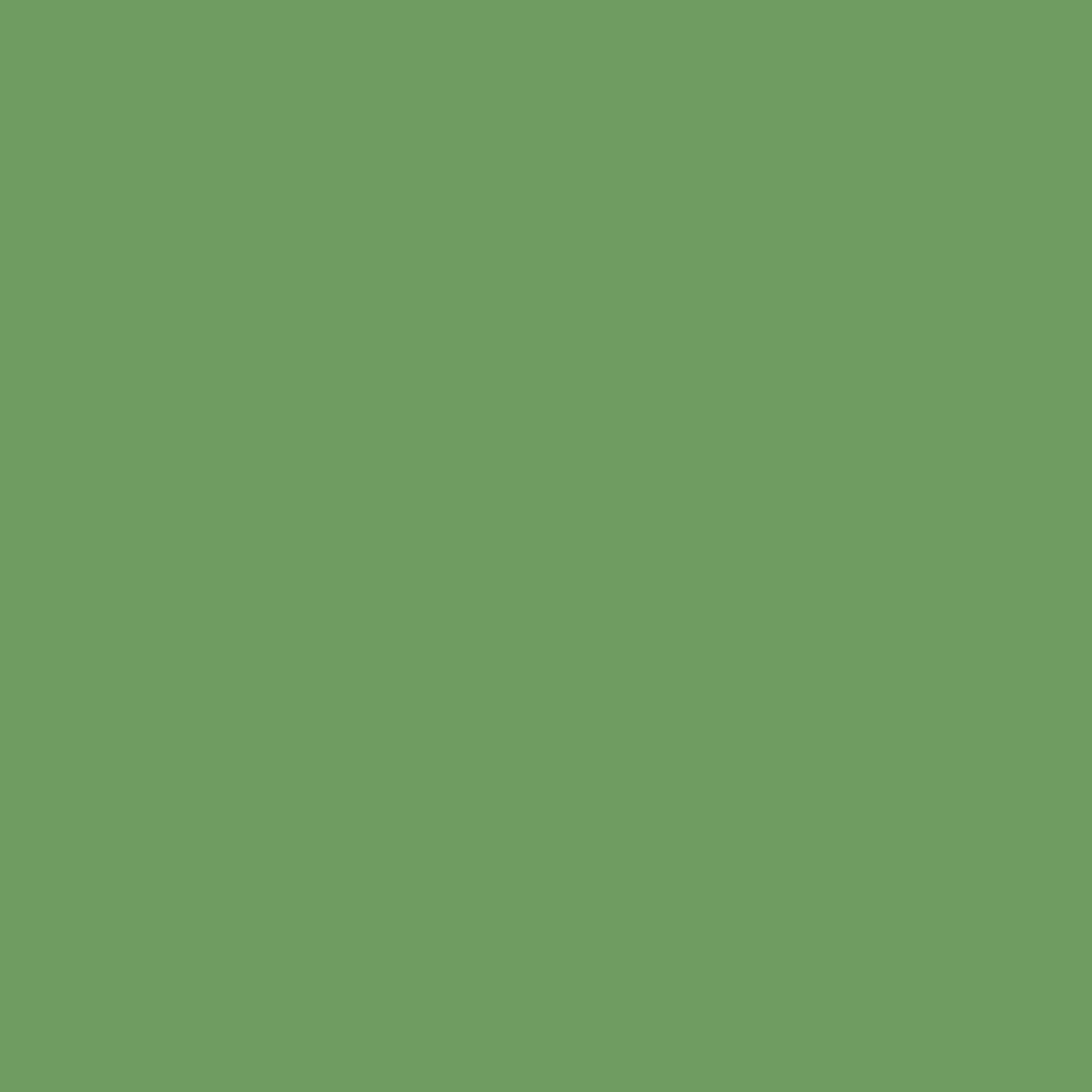 Farrow and Ball Farrow & Ball Paint Swatch CJR Raw Tomatillo CB6