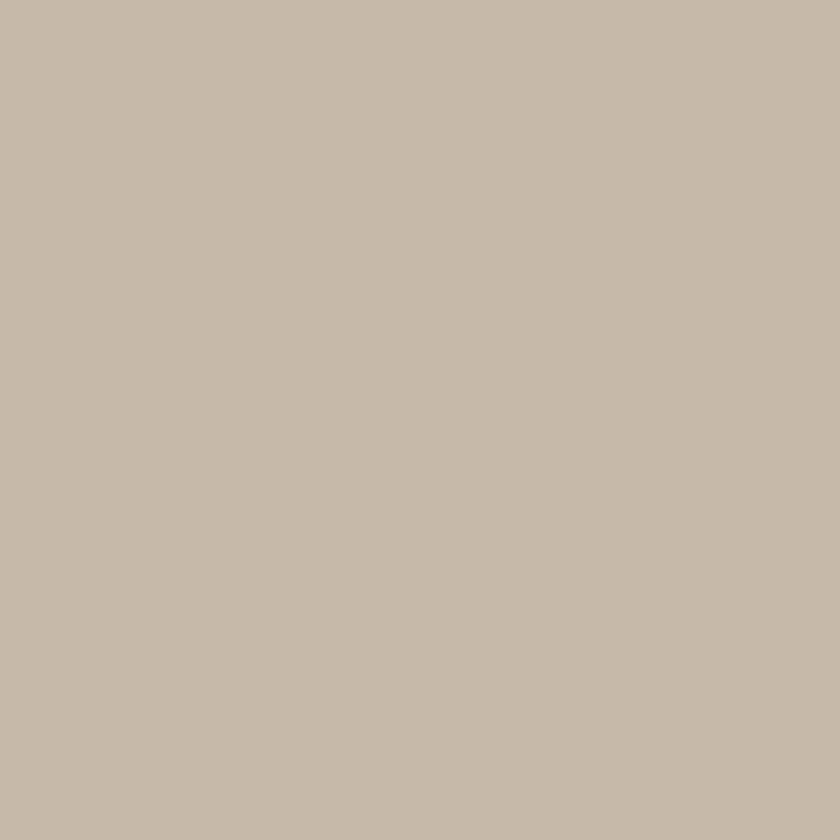 Farrow and Ball Farrow & Ball Paint Swatch CJR Roasted Macadamia CB2