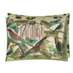 DG Floral Aviary Prachment John Derian Cushion 60 x 45cm