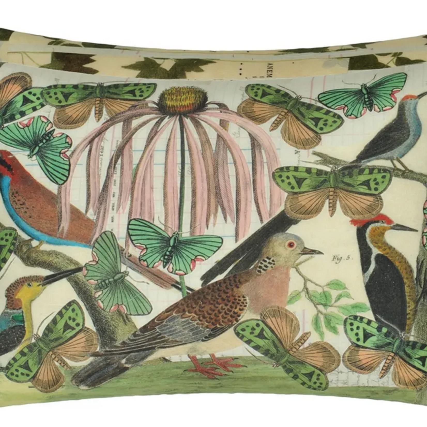 DG Floral Aviary Prachment John Derian Cushion 60 x 45cm