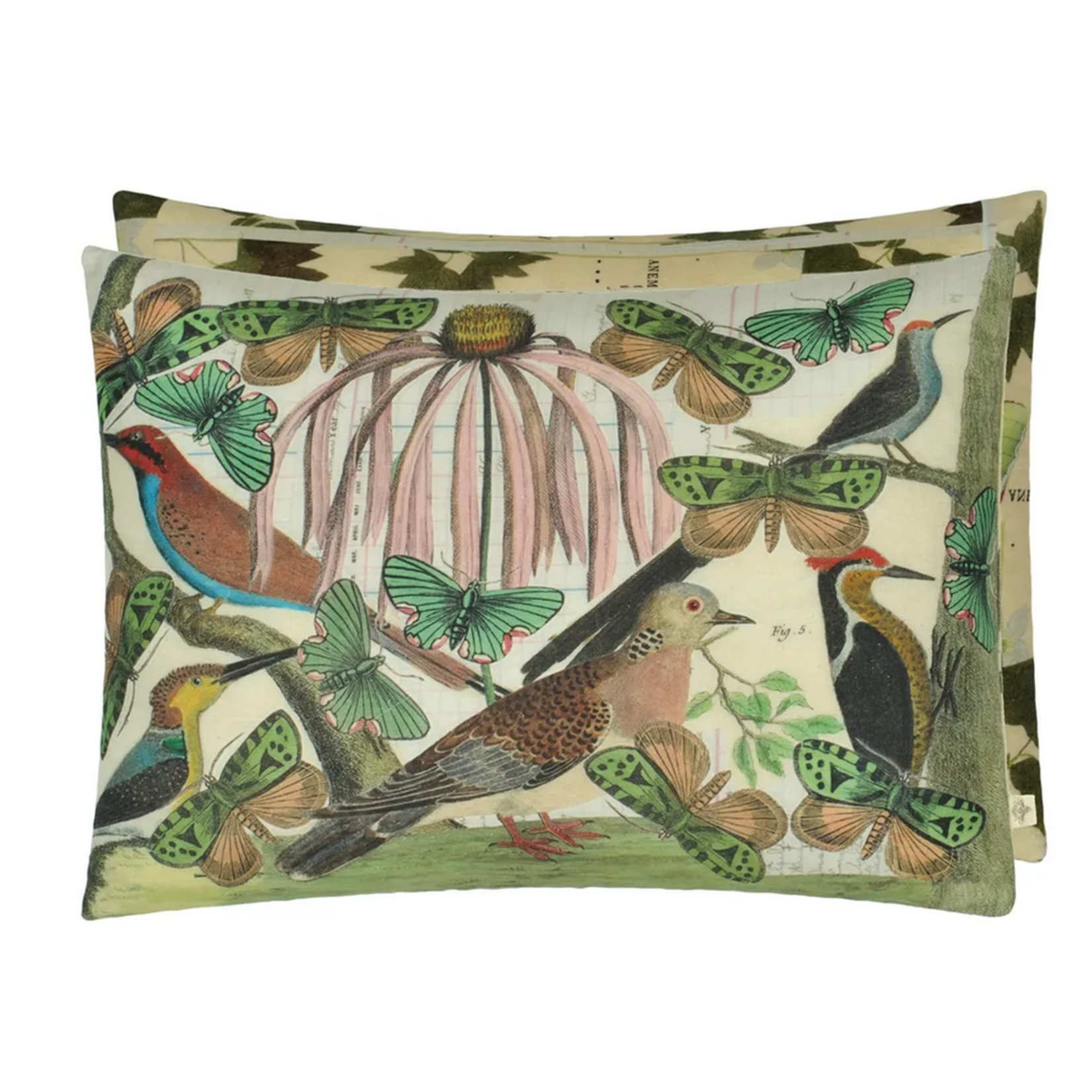 DG Floral Aviary Prachment John Derian Cushion 60 x 45cm