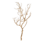 Pine Center Gold Decorative Branch