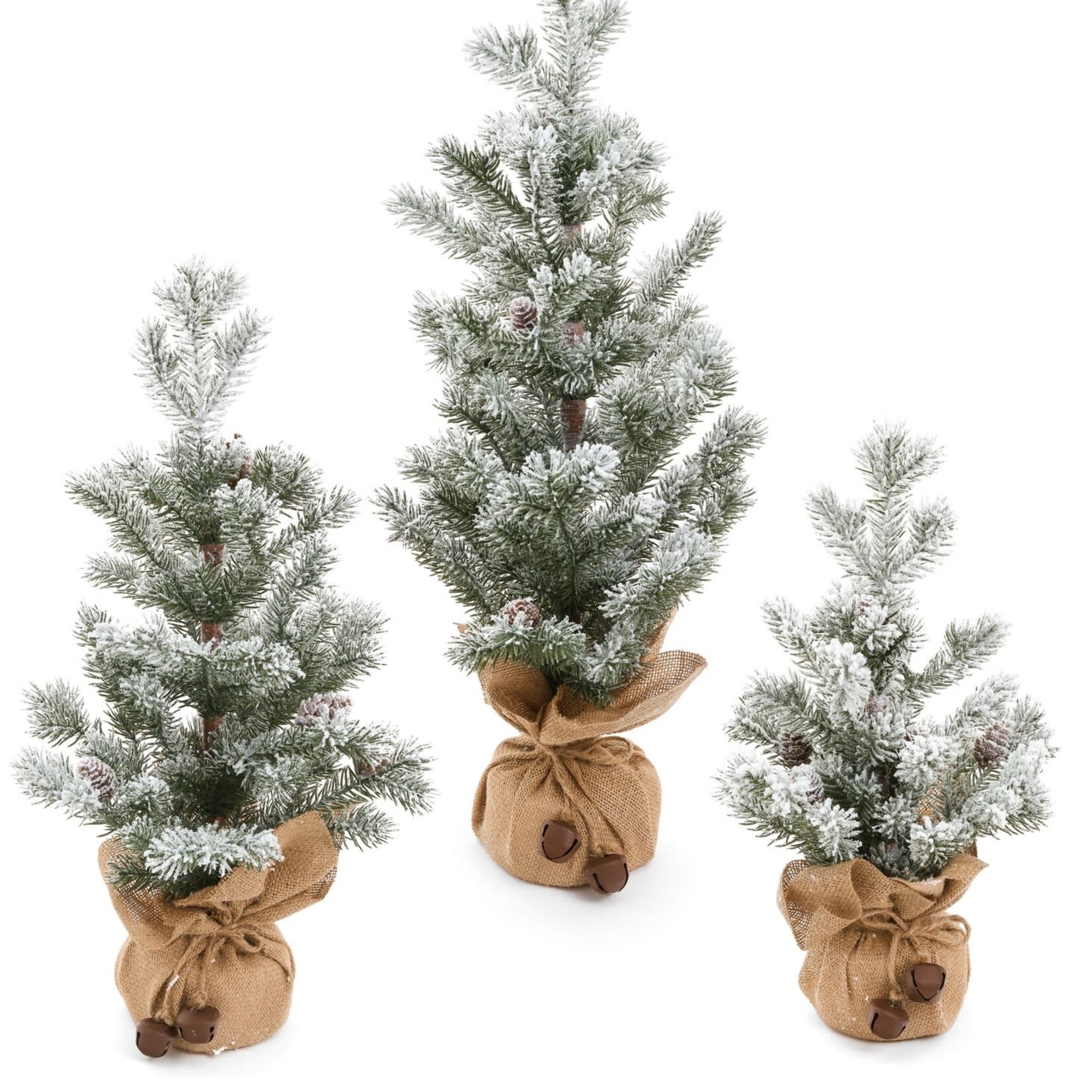Pine Center Large Tree with Burlap Base 13" X 24"