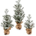 Pine Center Medium  Tree with Burlap Base 12" X 20.5"