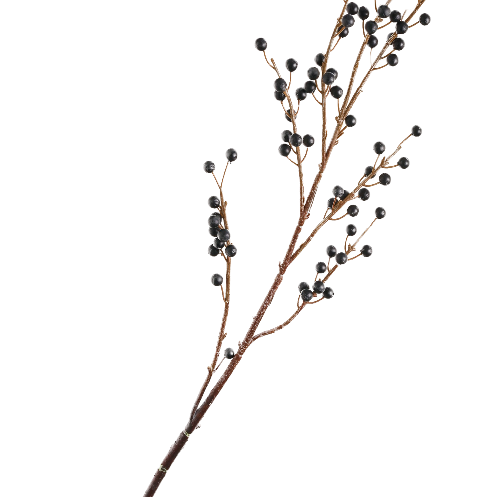 Pine Center Black Berry Spray