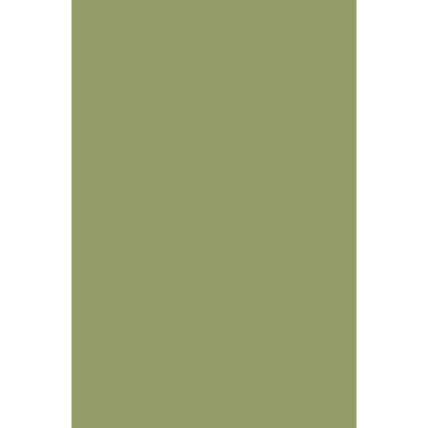 Farrow and Ball 750ml Full Gloss Olive No. 13