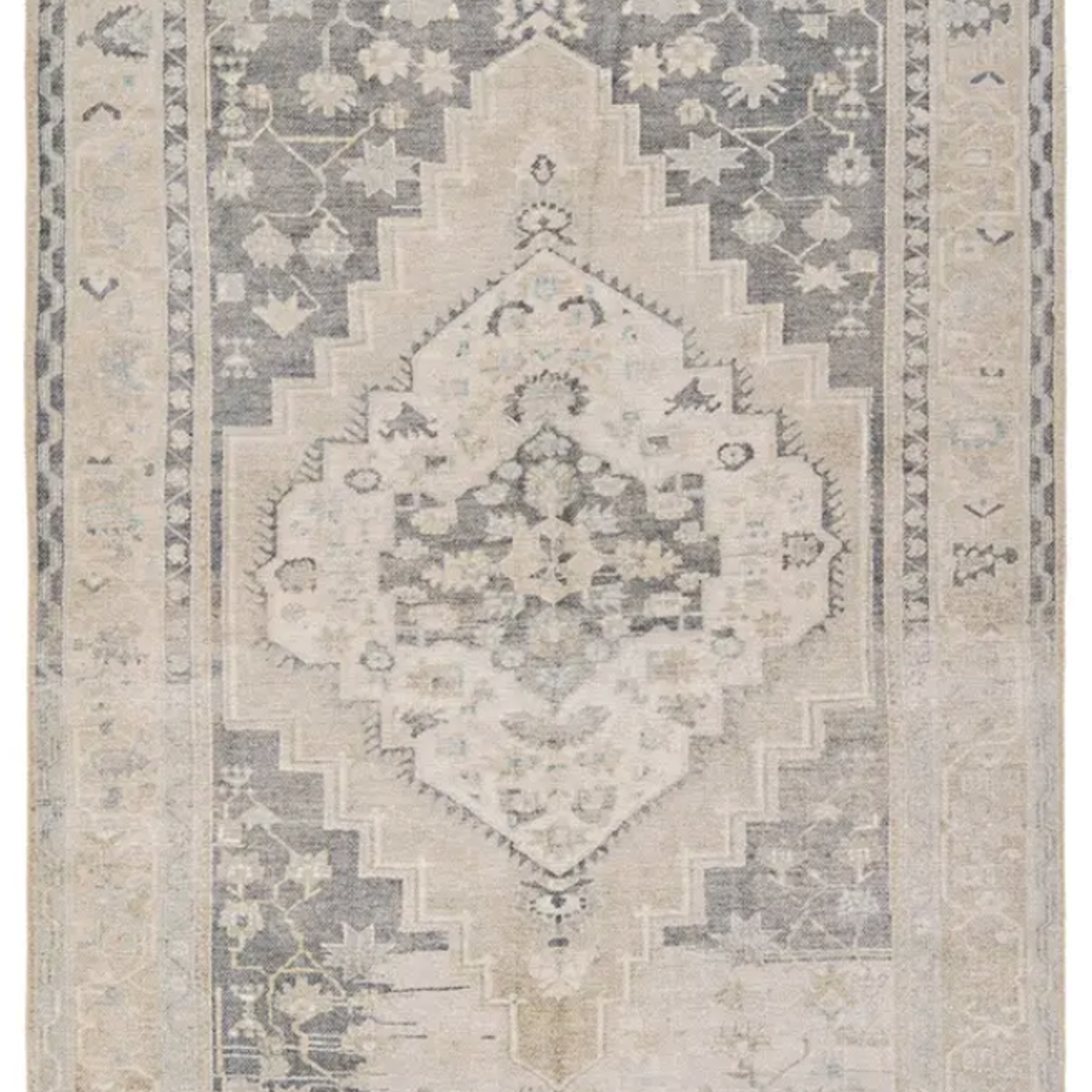 Jaipur Pasain Washable Rug by Jaipur (4'x6')