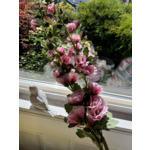 Cherry Blossom Stem 34"