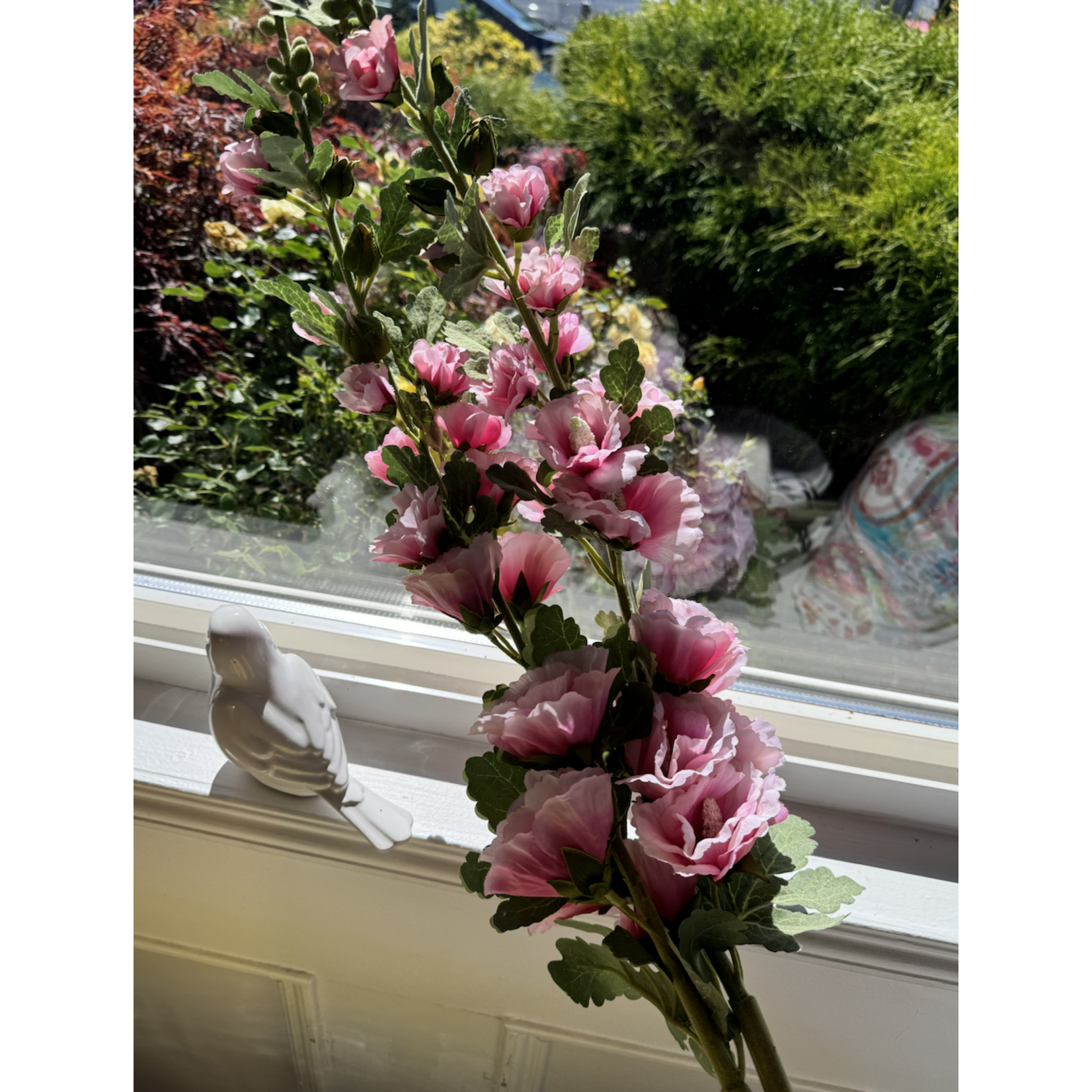 Hollyhock Pink Stem 43"
