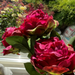 Peony Fuchsia Stem 27"