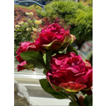 Peony Fuchsia Stem 27"