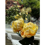Peony Yellow Stem-21"