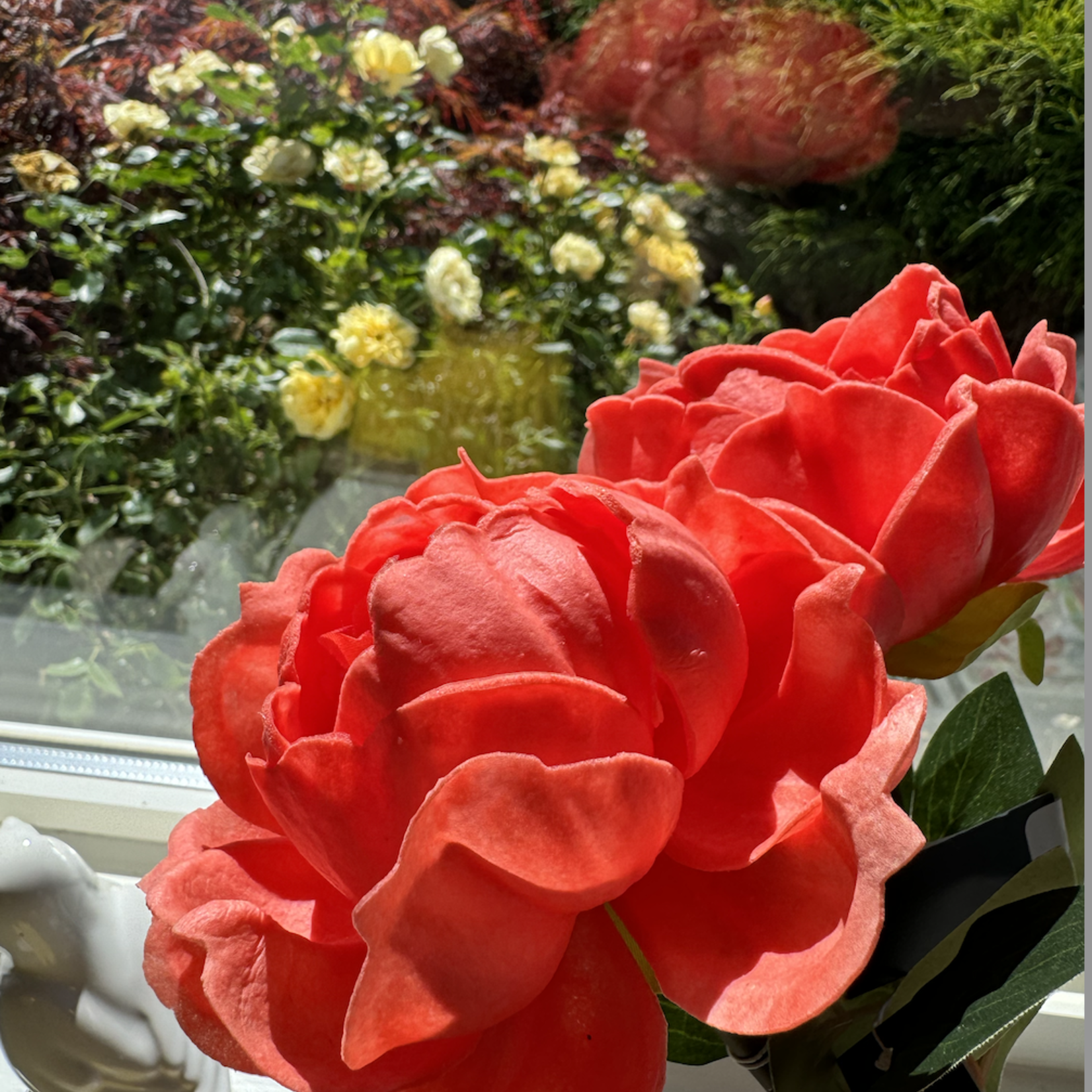Peony Coral Stem 20"