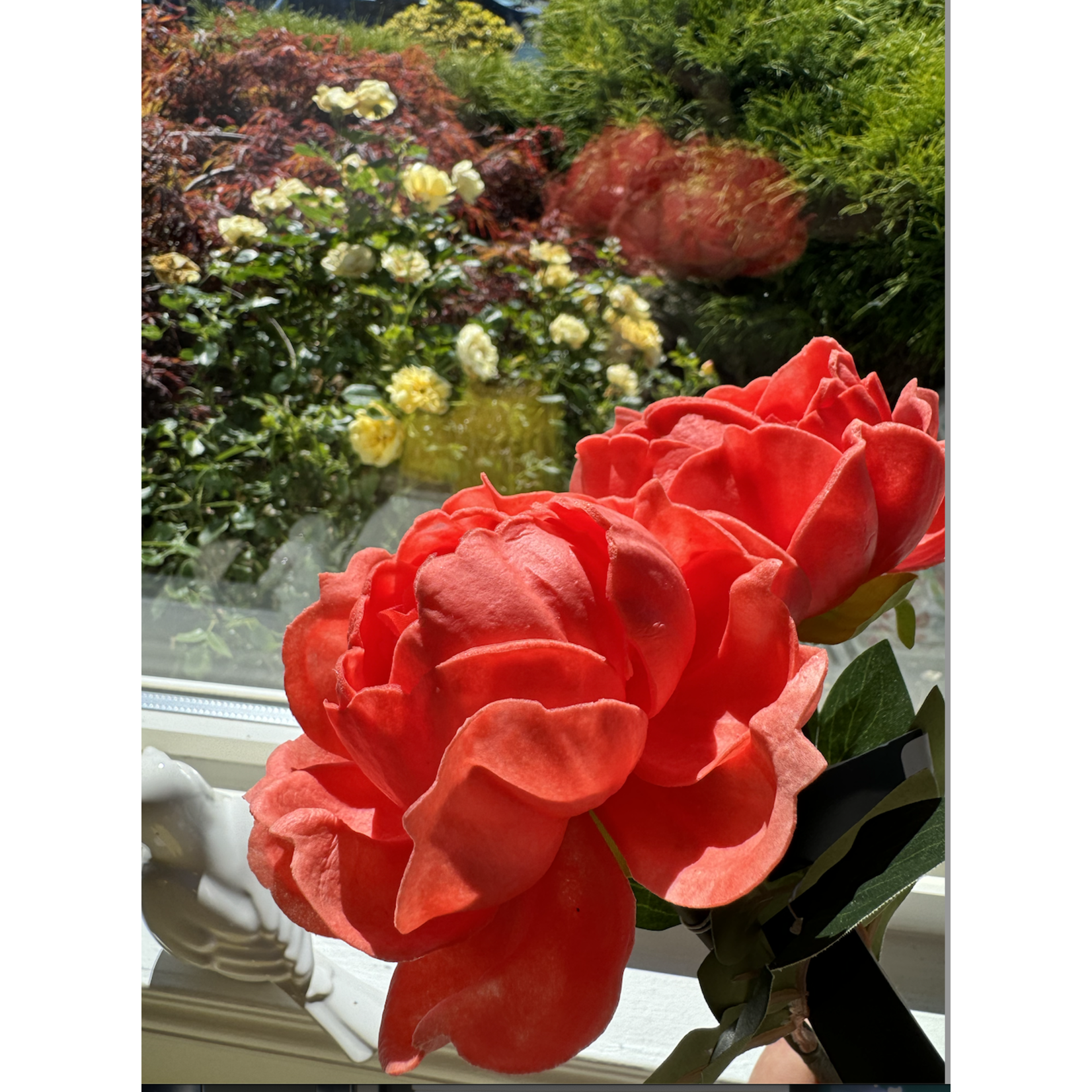 Peony Coral Stem 20"