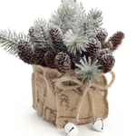 Bonavista Pine with Cones Arrangement