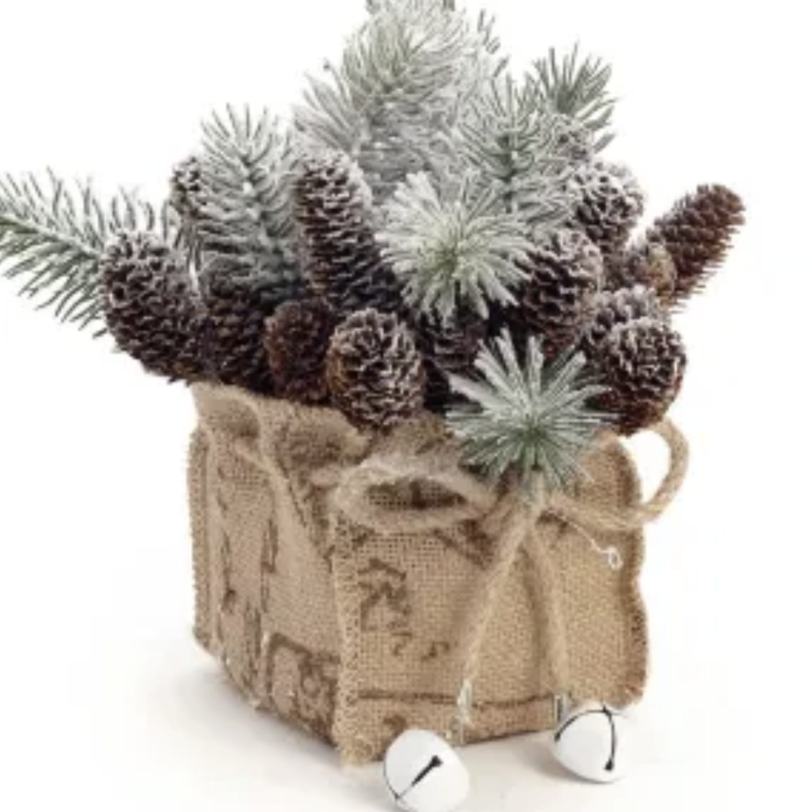 Bonavista Pine with Cones Arrangement