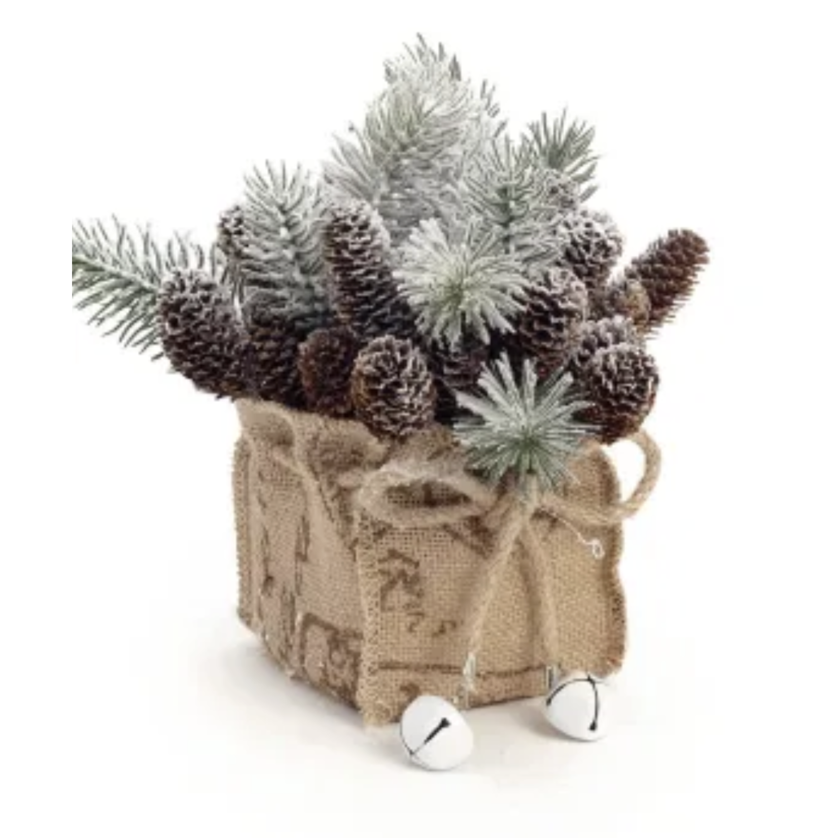 Bonavista Pine with Cones Arrangement