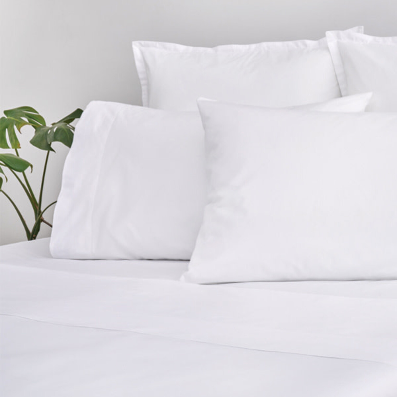 Cuddle Down Percale Deluxe Ivory Queen Sheet Set
