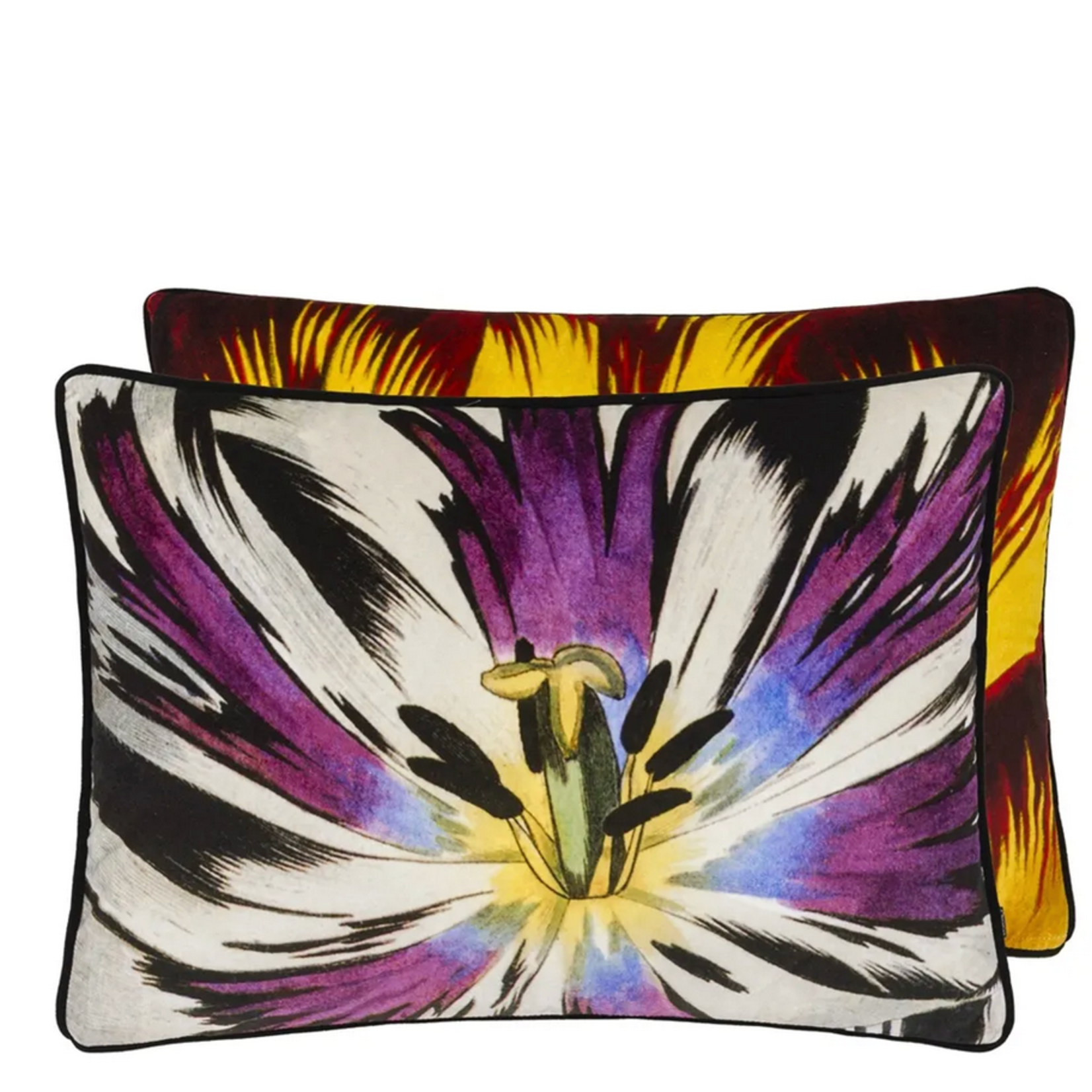 Designer's Guild DG Christian Lacroix Eclosion Agate