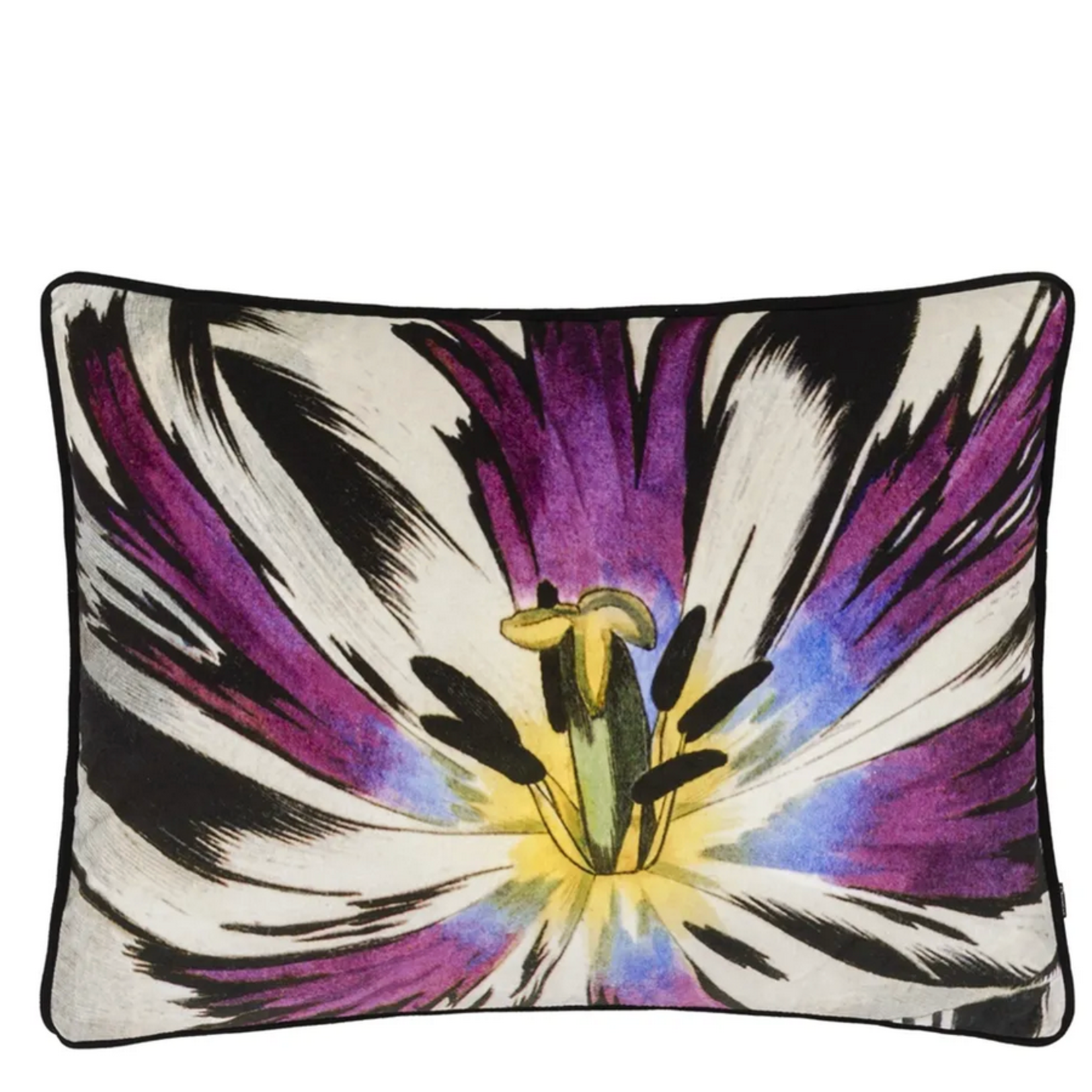 Designer's Guild DG Christian Lacroix Eclosion Agate