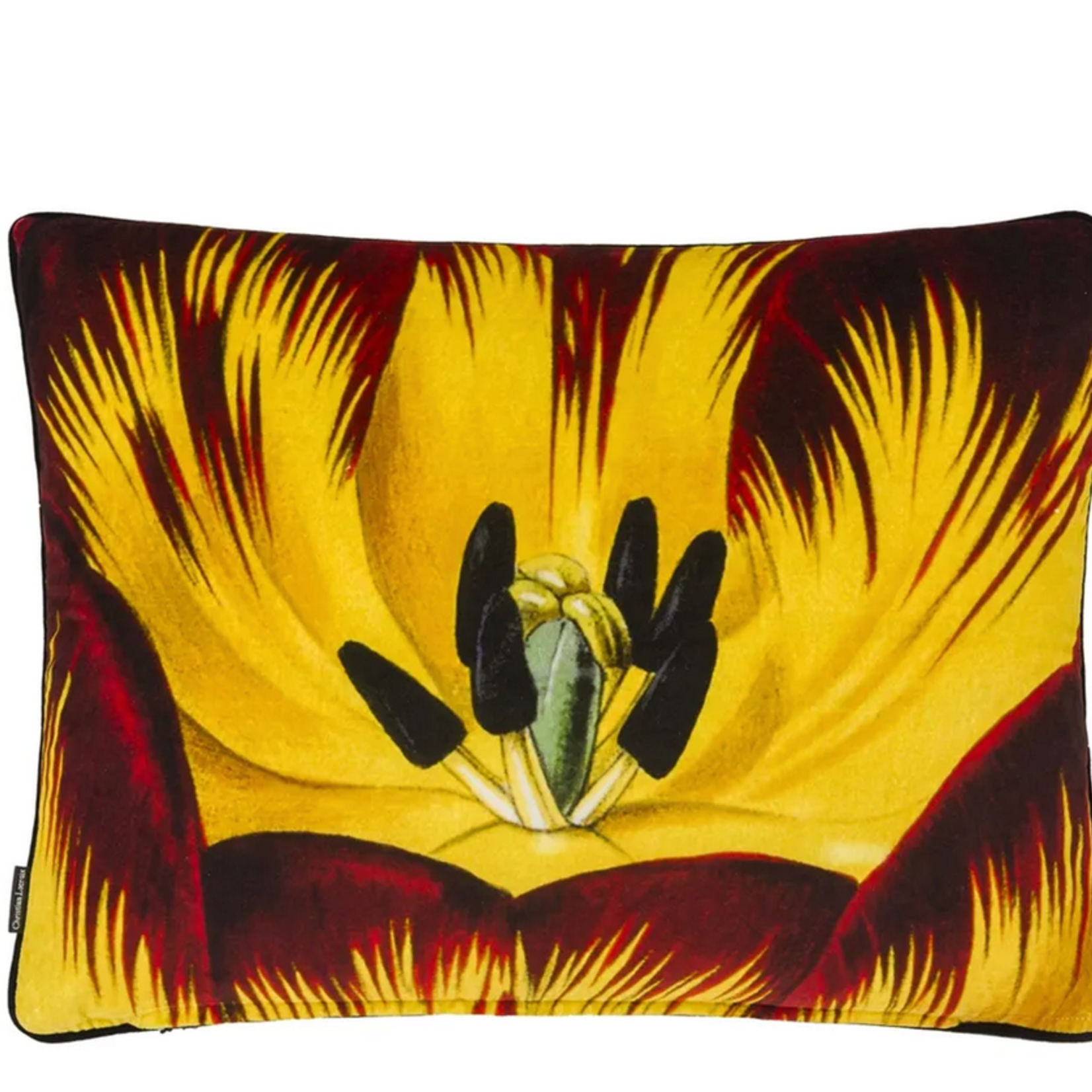 Designer's Guild DG Christian Lacroix Eclosion Agate