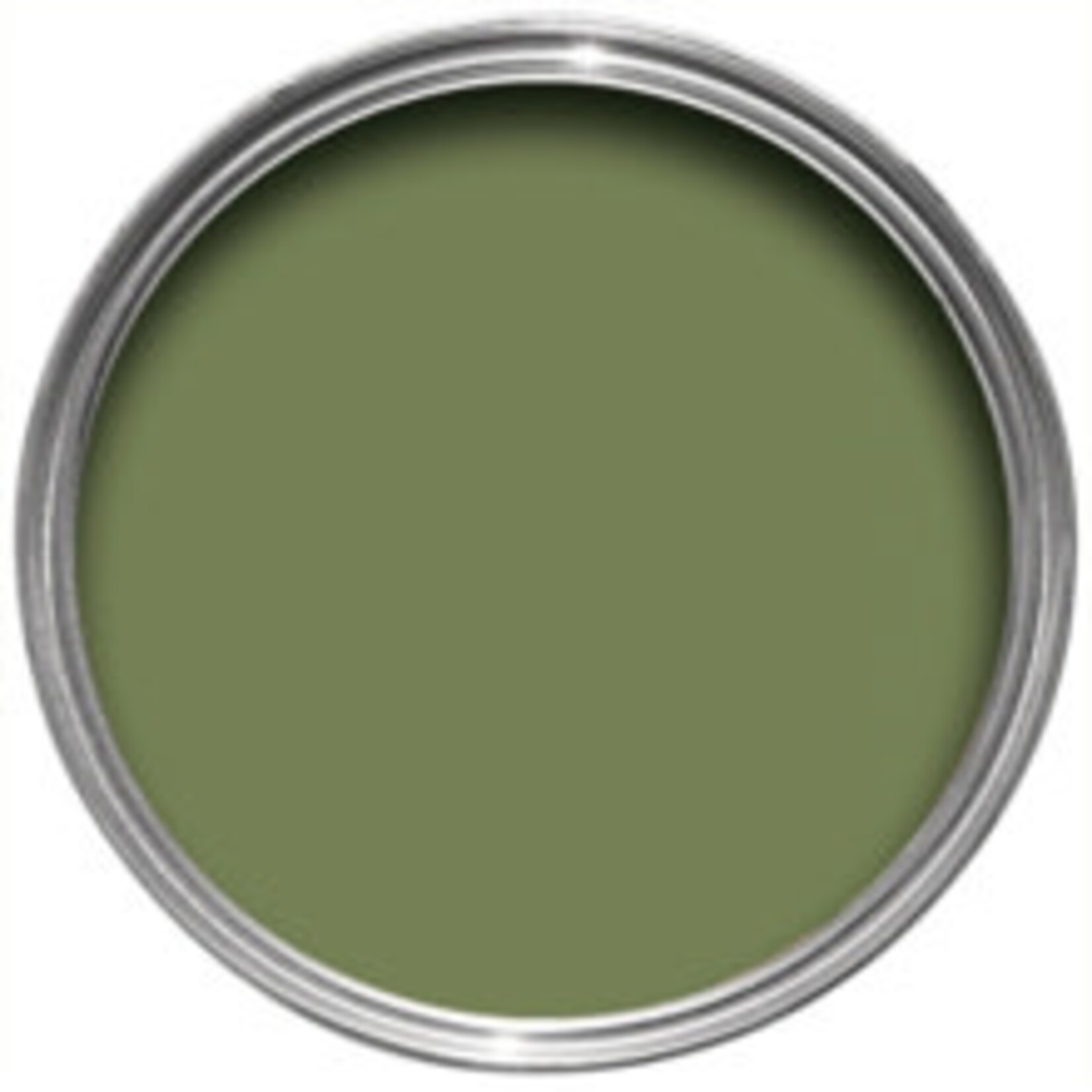 Farrow and Ball US Gallon Modern Emulsion Sap Green No.199