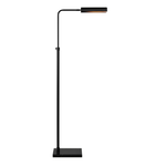 Fadia Matte Black Floor Lamp