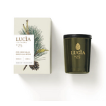 Lucia Lucia Douglas Pine 20 Hour Candle