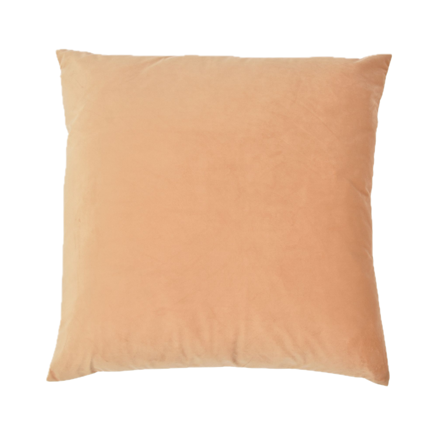 Kristy VelvetThrow Cushion colour Wheat 24" X 24" with Feather filler