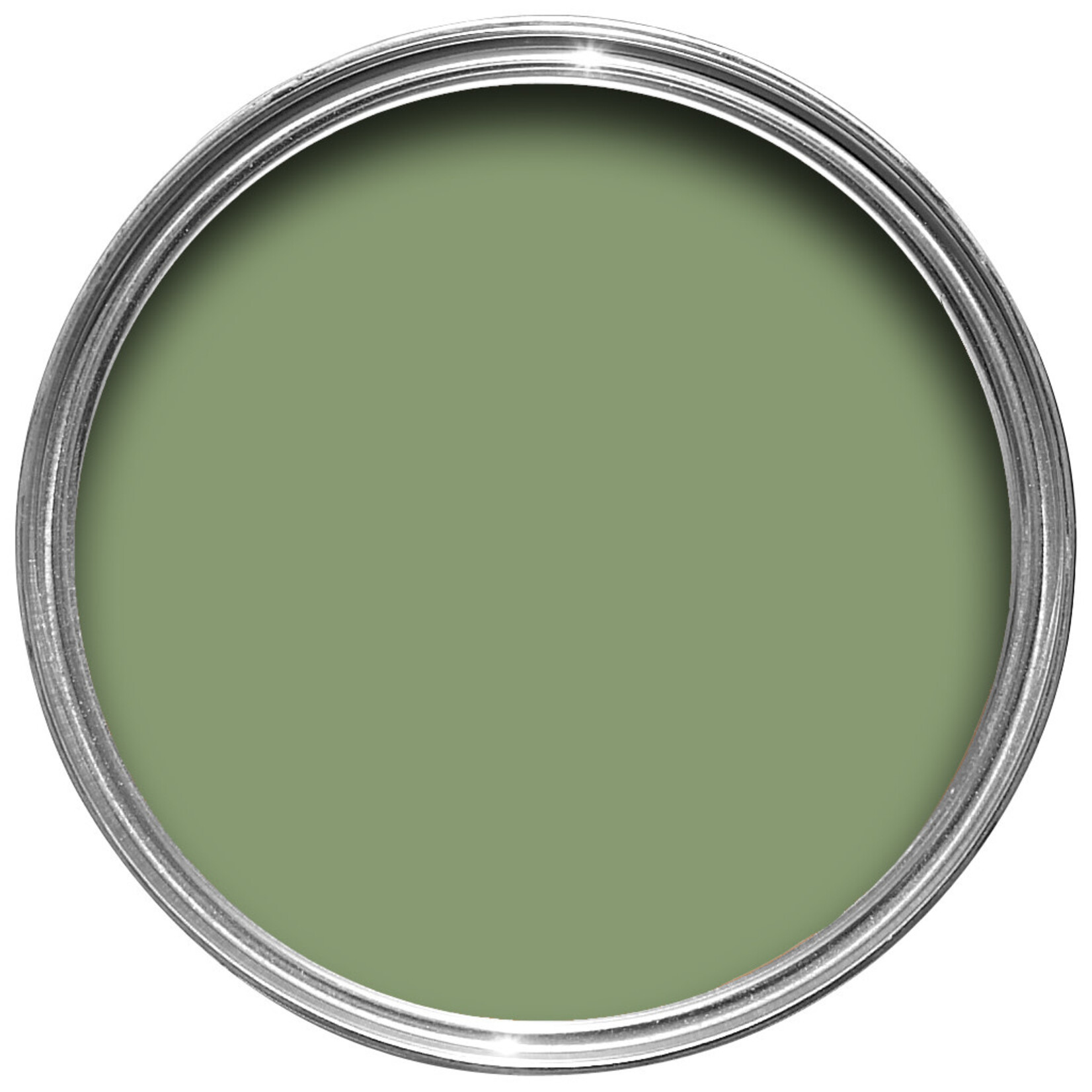 Farrow and Ball US Gallon Flat Eggshell Yeabridge Green No.287