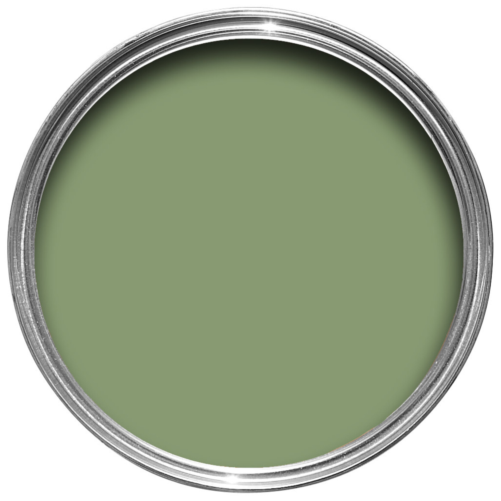 Farrow and Ball US Gallon Flat Eggshell Yeabridge Green No.287