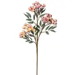 Desert 3 Cluster 30 Inch Length Cherry Blossom Stem with Leaves - Pink