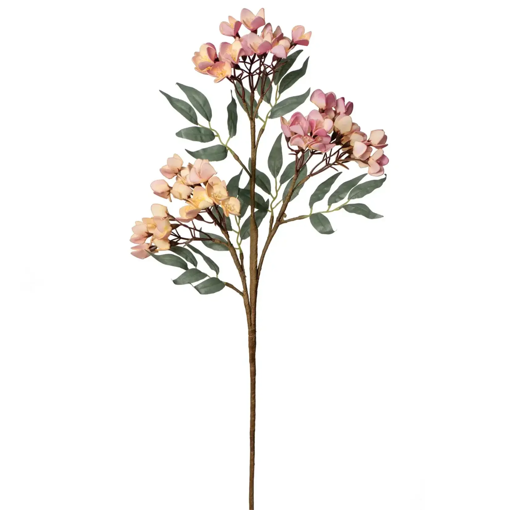 Desert 3 Cluster 30 Inch Length Cherry Blossom Stem with Leaves - Pink
