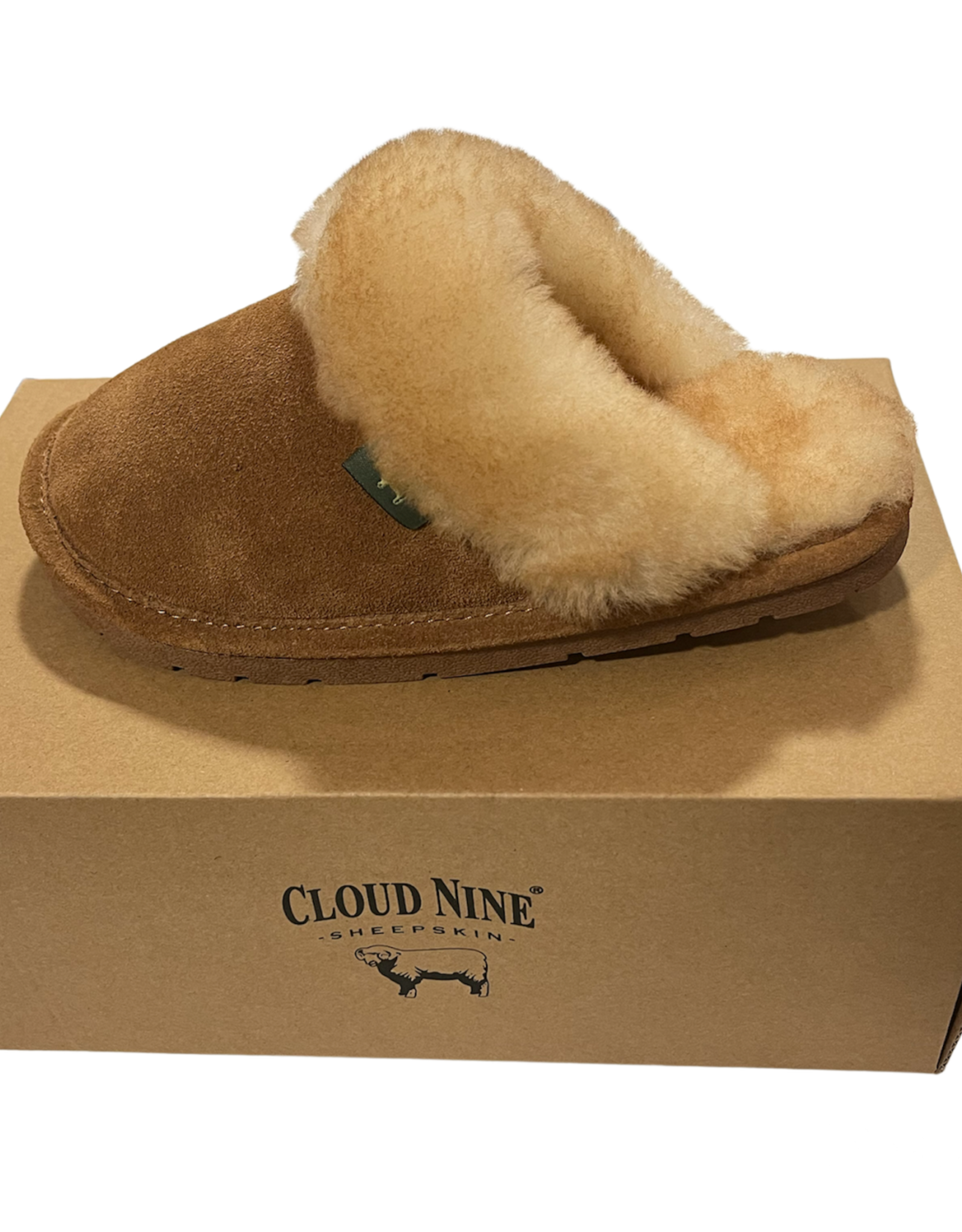 Cloud Nine CNS-100 Chesnut Ladies Slippers