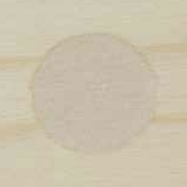 Blanchon Blanchon - Mastic en poudre 500g