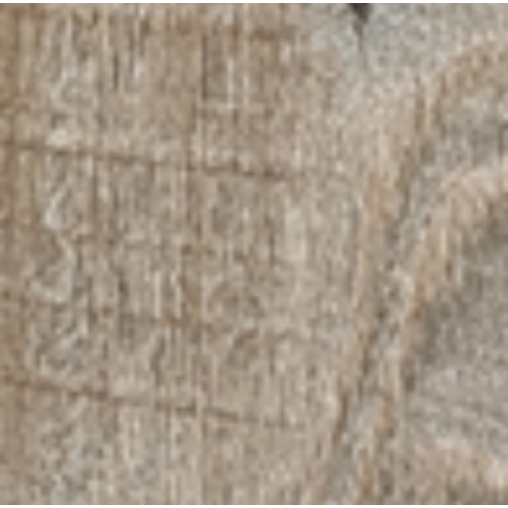 Mono Serra Mono Serra - Ambiance 55 - SPC Plancher de vinyle 5.2mm (1.5mm Eva Foam)