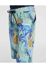 DHaRCO DHaRCO Gravity Shorts Youth