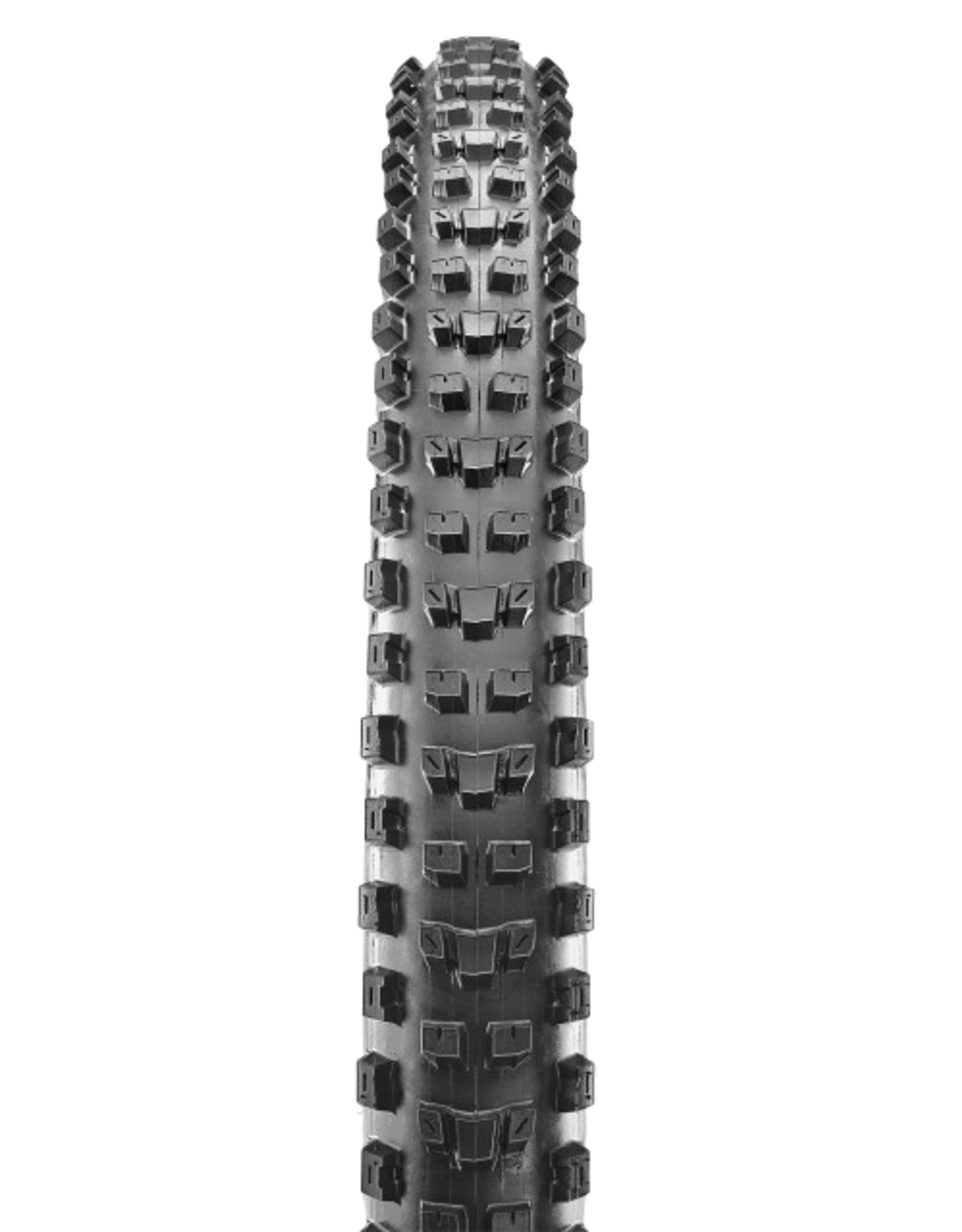Maxxis Dissector 29" Maxxis Tire
