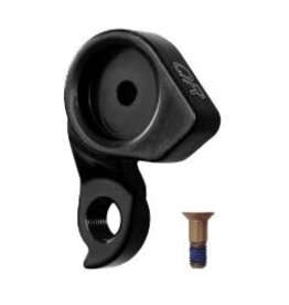 Derailleur hanger Scott Boost Q/R not direct my17