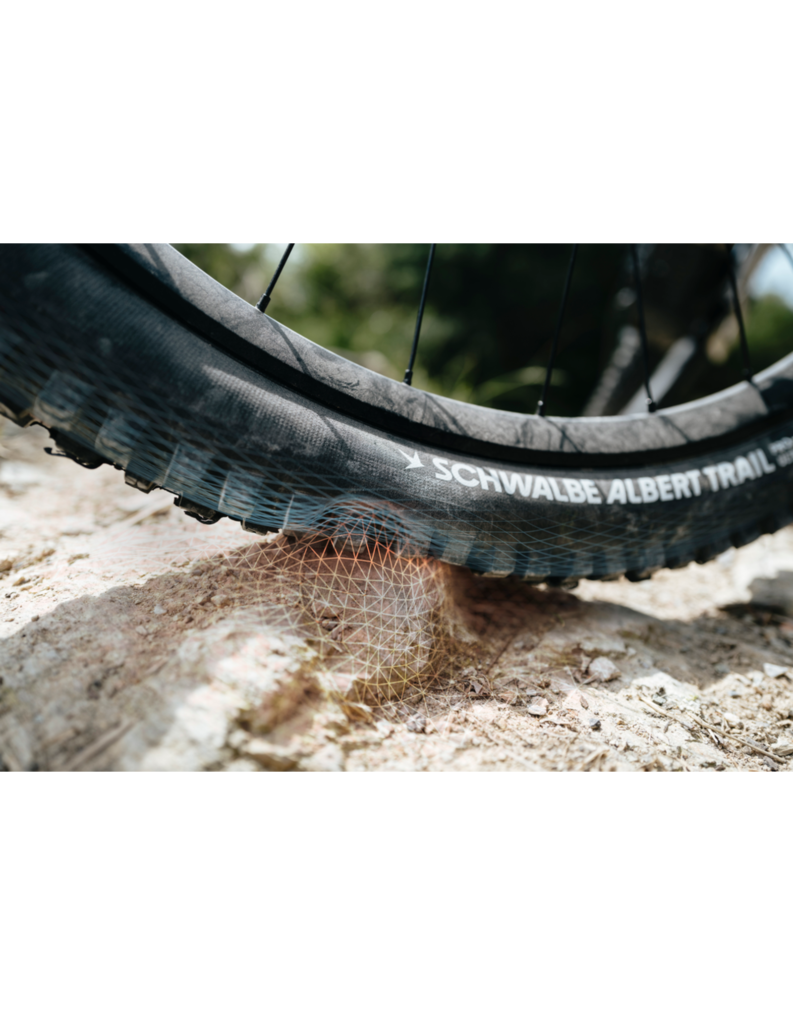 Schwalbe Albert Gravity Pro 29" Schwalbe Tire