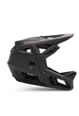 Fox Racing Proframe RS Fox Helmet