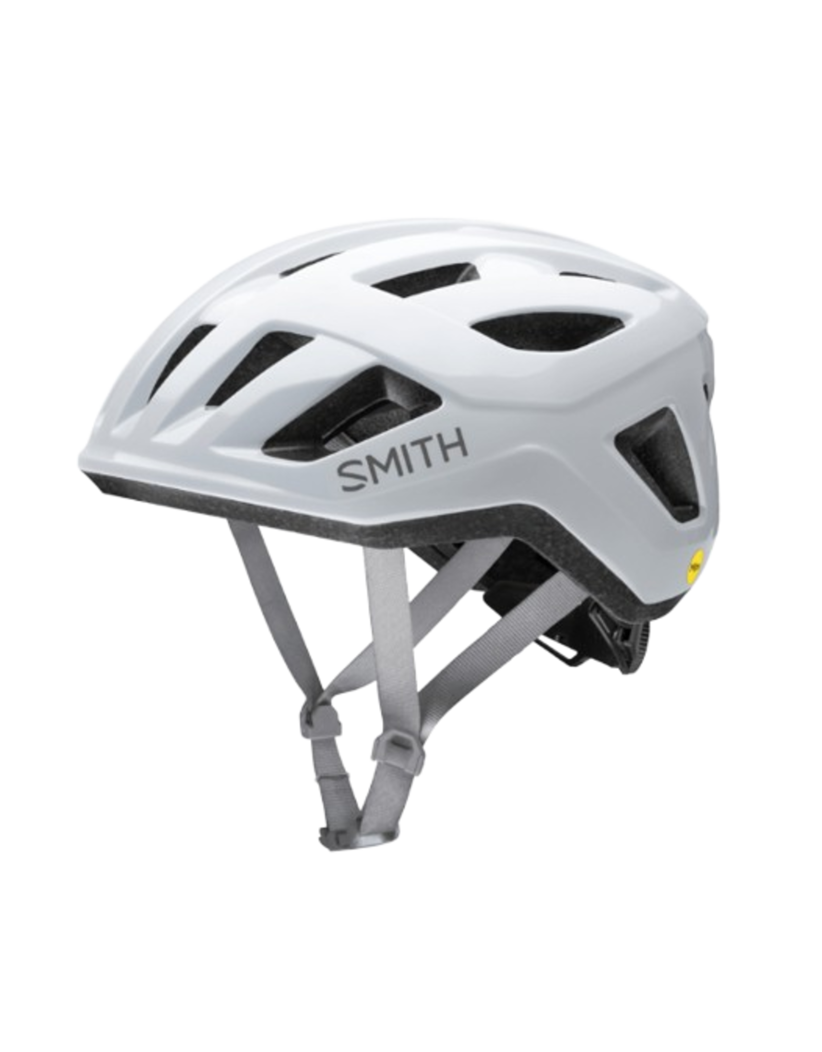 Smith Signal Mips Smith Helmet
