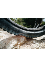 Schwalbe Albert Schwalbe Tire