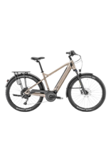 Moustache Moustache Xroad ES Canadienne