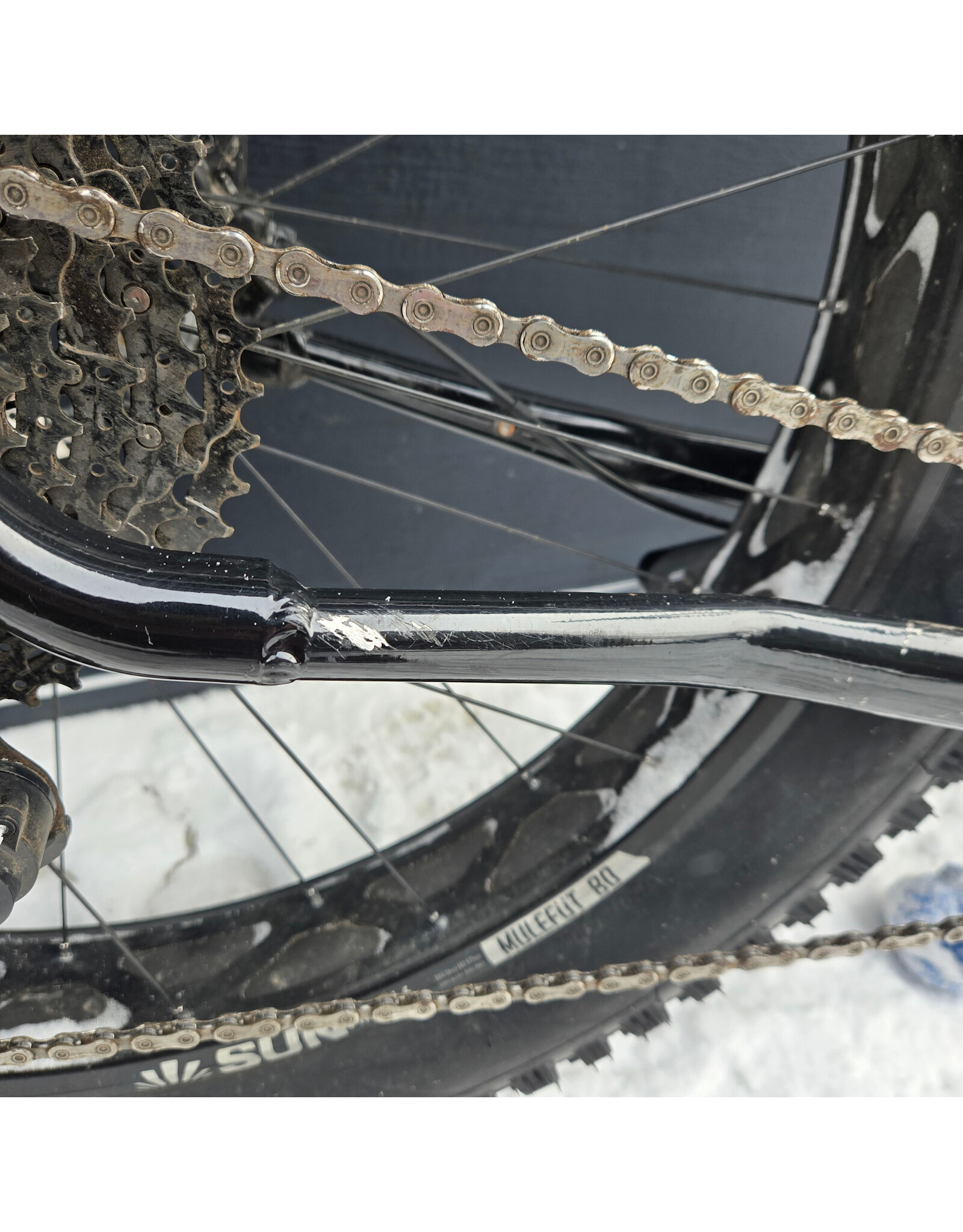 [DEMO] Moose Fat Bike 3 [M38]