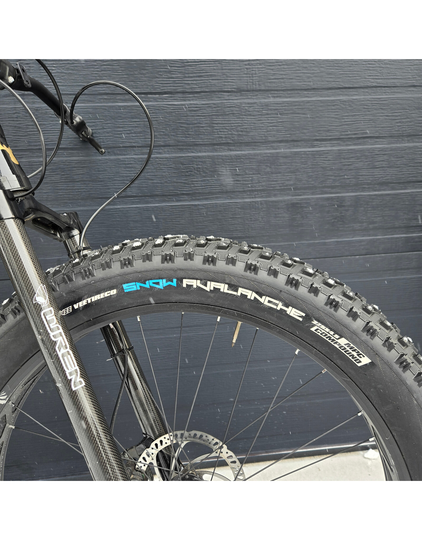 [DEMO] Moose Fat Bike 3 [M38]